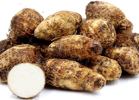 The Cultural Significance of Black Magic Cocoyam in Celebrations and Rituals